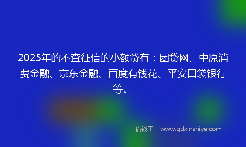 2025年的不查征信的小额贷有：团贷网、中原消费金融、京东金融、百度有钱花、平安口袋银行等。