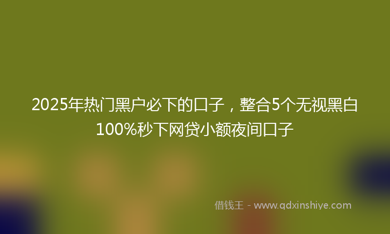 2025年热门黑户必下的口子,整合5个无视黑白100%秒下网贷小额夜间口子