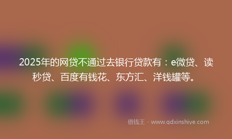 2025年的网贷不通过去银行贷款有：e微贷、读秒贷、百度有钱花、东方汇、洋钱罐等。