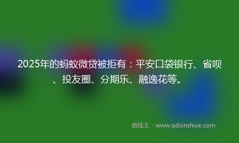 2025年的蚂蚁微贷被拒有：平安口袋银行、省呗、投友圈、分期乐、融逸花等。