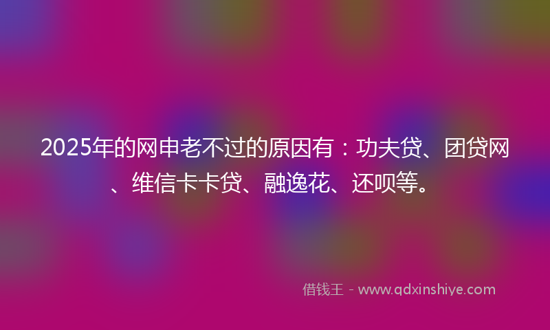 2025年的网申老不过的原因有：功夫贷、团贷网、维信卡卡贷、融逸花、还呗等。