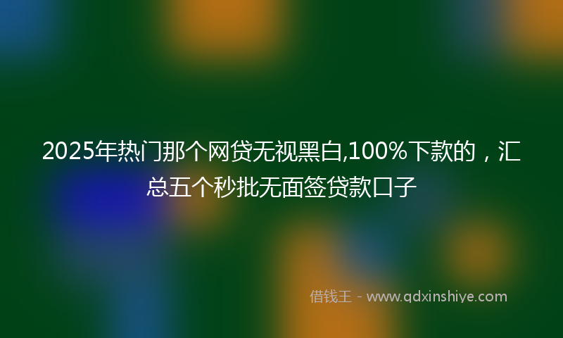 2025年热门那个网贷无视黑白,100%下款的，汇总五个秒批无面签贷款口子