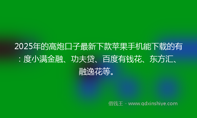 2025年的高炮口子最新下款苹果手机能下载的有：度小满金融、功夫贷、百度有钱花、东方汇、融逸花等。