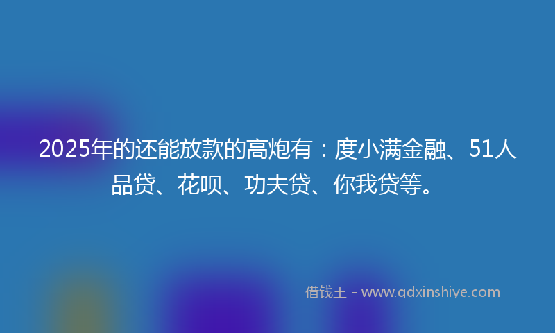 2025年的还能放款的高炮有：度小满金融、51人品贷、花呗、功夫贷、你我贷等。