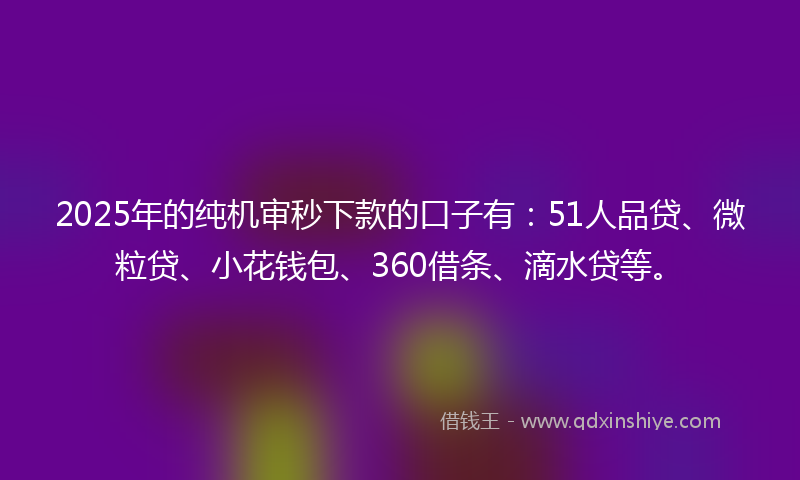 2025年的纯机审秒下款的口子有：51人品贷、微粒贷、小花钱包、360借条、滴水贷等。