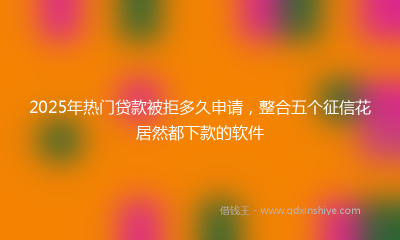 2025年热门贷款被拒多久申请，整合五个征信花居然都下款的软件
