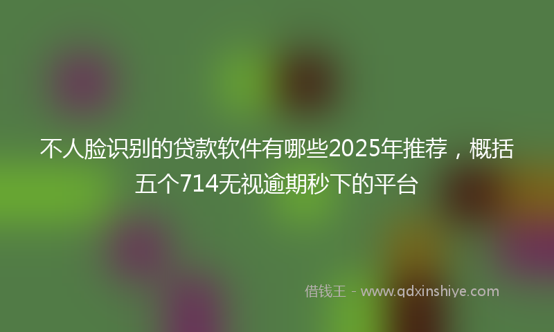不人脸识别的贷款软件有哪些2025年推荐，概括五个714无视逾期秒下的平台