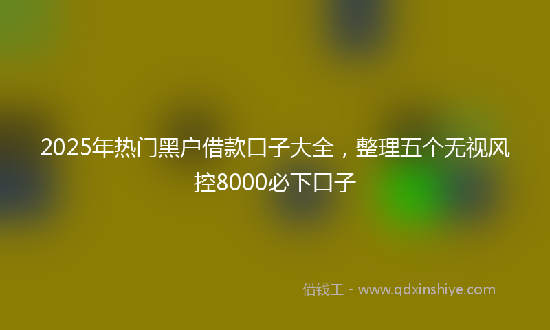 2025年热门黑户借款口子大全，整理五个无视风控8000必下口子