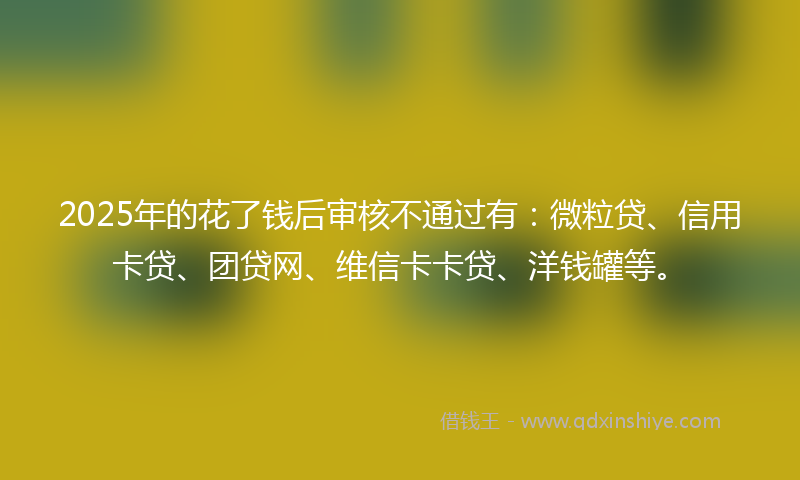 2025年的花了钱后审核不通过有：微粒贷、信用卡贷、团贷网、维信卡卡贷、洋钱罐等。