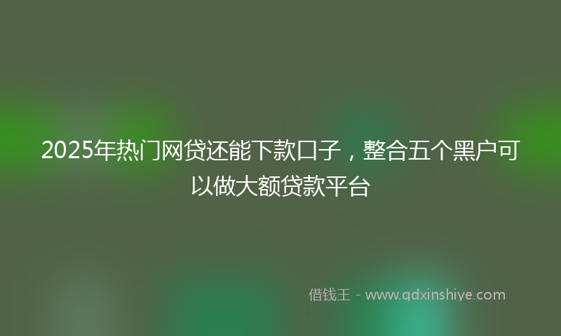 2025年热门网贷还能下款口子，整合五个黑户可以做大额贷款平台