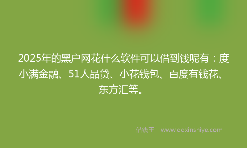 2025年的黑户网花什么软件可以借到钱呢有：度小满金融、51人品贷、小花钱包、百度有钱花、东方汇等。