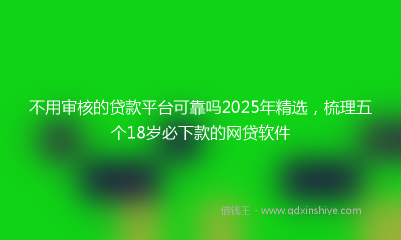 不用审核的贷款平台可靠吗2025年精选，梳理五个18岁必下款的网贷软件