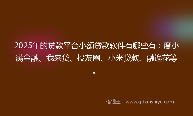 2025年的贷款平台小额贷款软件有哪些有：度小满金融、我来贷、投友圈、小米贷款、融逸花等。