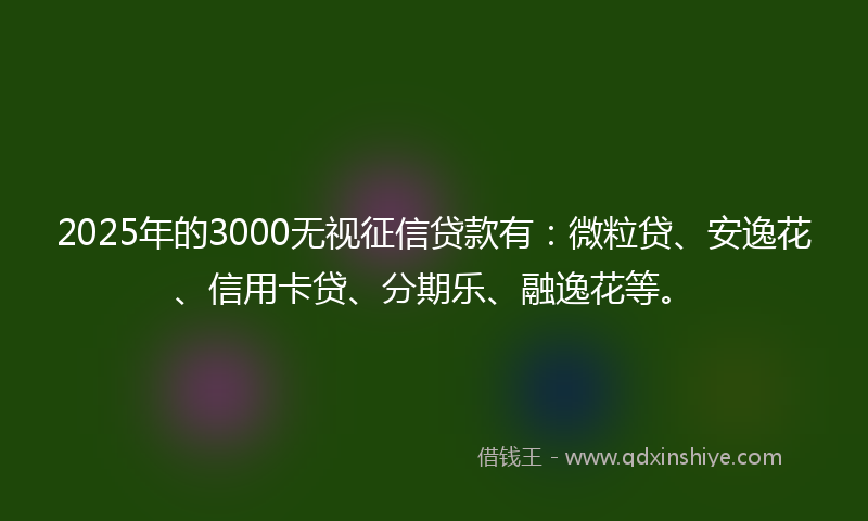 2025年的3000无视征信贷款有：微粒贷、安逸花、信用卡贷、分期乐、融逸花等。