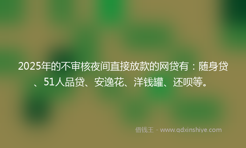 2025年的不审核夜间直接放款的网贷有：随身贷、51人品贷、安逸花、洋钱罐、还呗等。