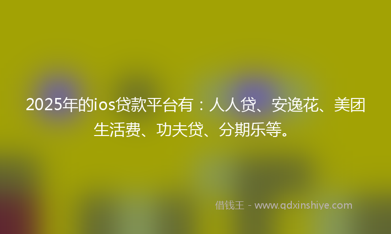 2025年的ios贷款平台有：人人贷、安逸花、美团生活费、功夫贷、分期乐等。