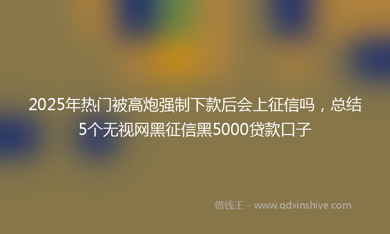 2025年热门被高炮强制下款后会上征信吗，总结5个无视网黑征信黑5000贷款口子