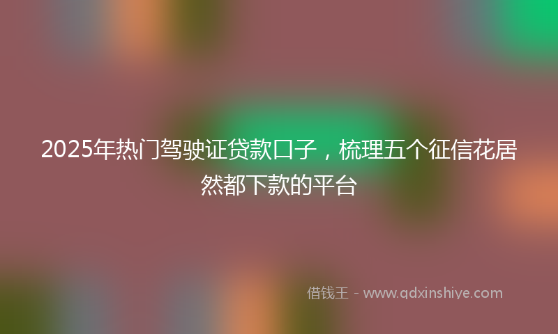 2025年热门驾驶证贷款口子,梳理五个征信花居然都下款的平台