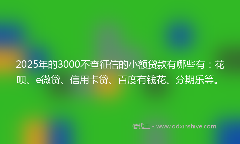 2025年的3000不查征信的小额贷款有哪些有：花呗、e微贷、信用卡贷、百度有钱花、分期乐等。