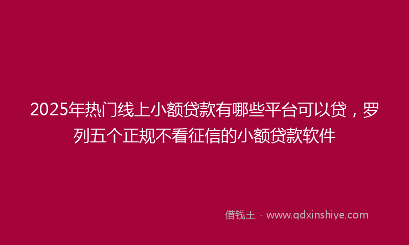 2025年热门线上小额贷款有哪些平台可以贷，罗列五个正规不看征信的小额贷款软件