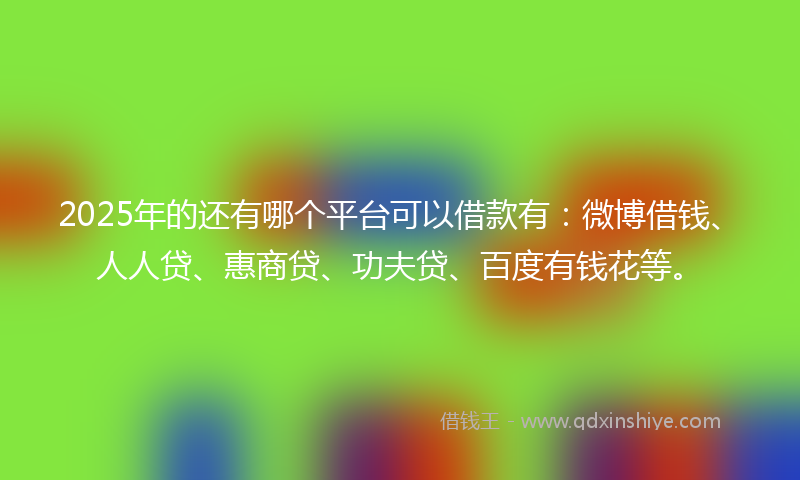 2025年的还有哪个平台可以借款有：微博借钱、人人贷、惠商贷、功夫贷、百度有钱花等。