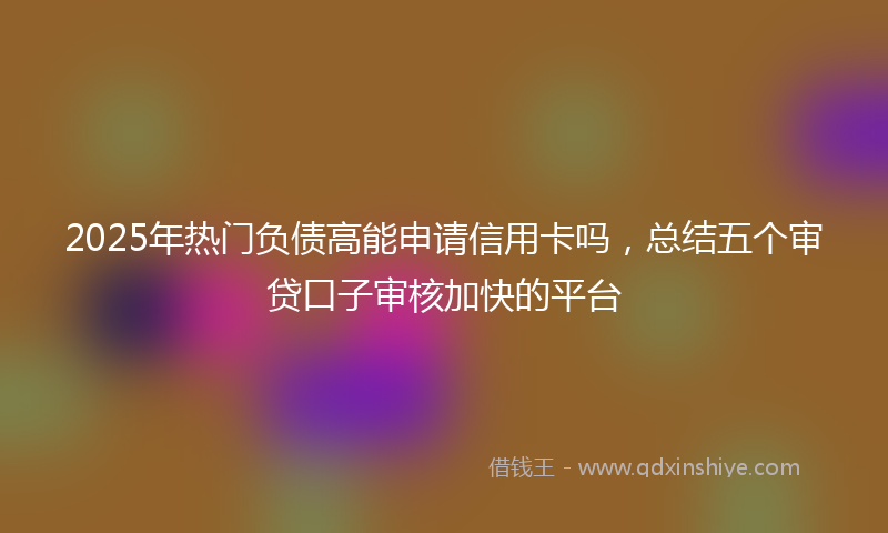 2025年热门负债高能申请信用卡吗，总结五个审贷口子审核加快的平台
