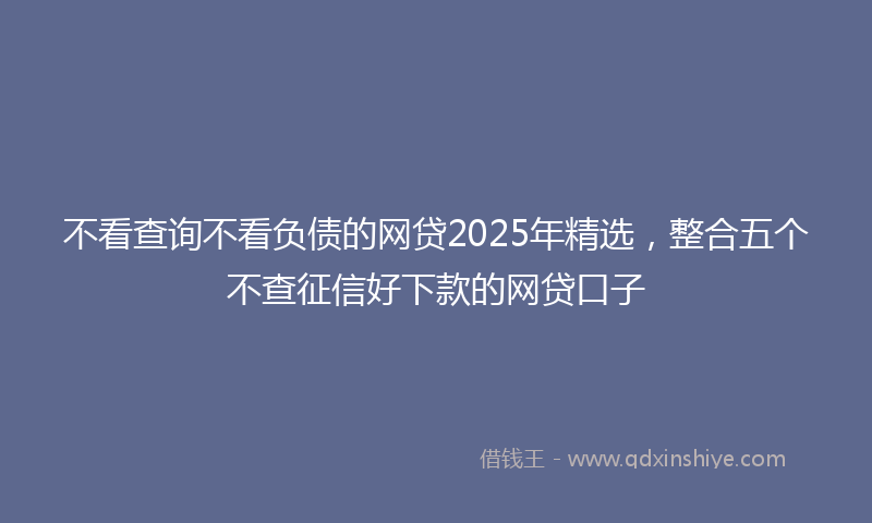 不看查询不看负债的网贷2025年精选，整合五个不查征信好下款的网贷口子
