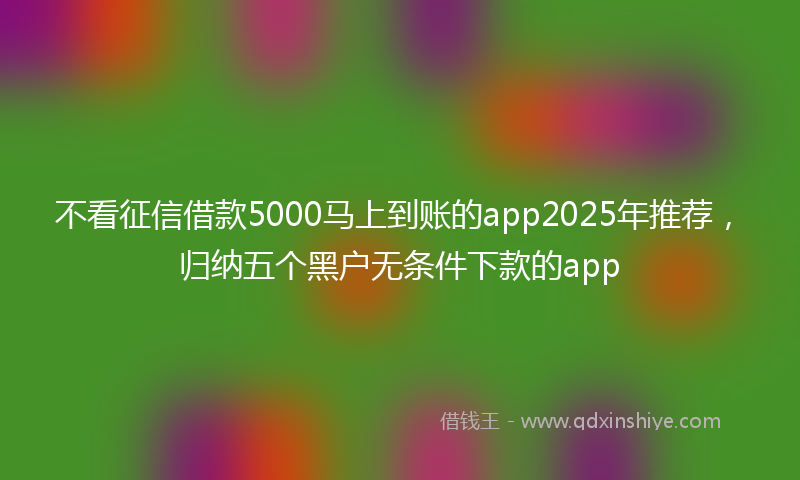 不看征信借款5000马上到账的app2025年推荐，归纳五个黑户无条件下款的app