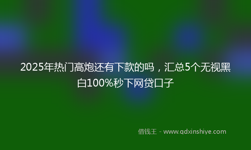 2025年热门高炮还有下款的吗，汇总5个无视黑白100%秒下网贷口子