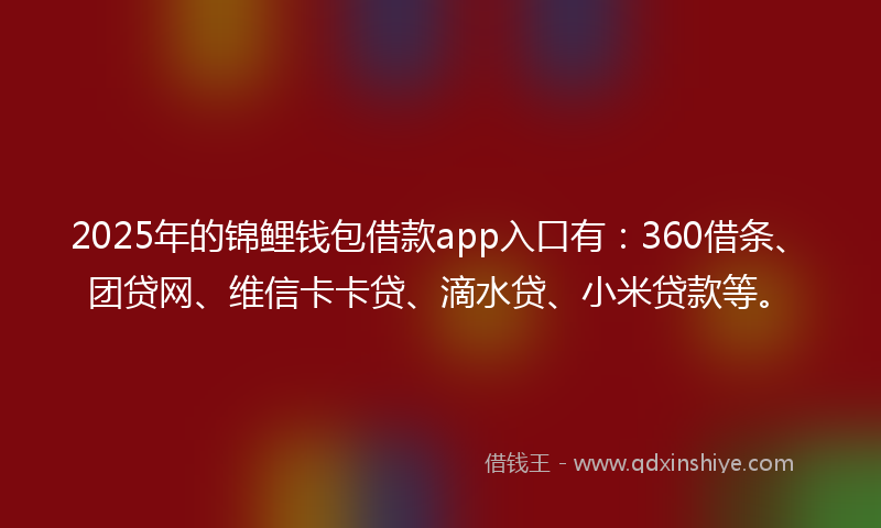 2025年的锦鲤钱包借款app入口有:360借条、团贷网、维信卡卡贷、滴水贷、小米贷款等。