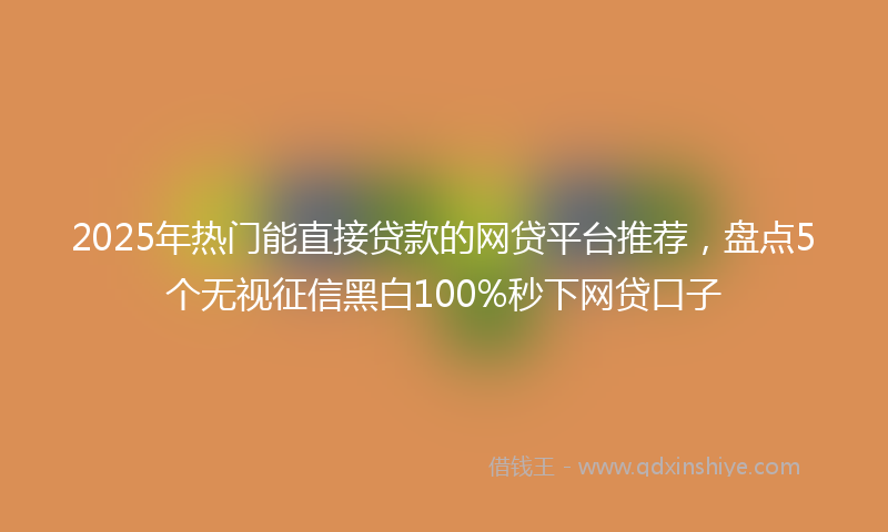 2025年热门能直接贷款的网贷平台推荐，盘点5个无视征信黑白100%秒下网贷口子