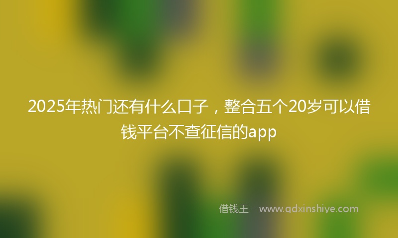 2025年热门还有什么口子，整合五个20岁可以借钱平台不查征信的app