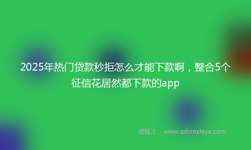 2025年热门贷款秒拒怎么才能下款啊，整合5个征信花居然都下款的app