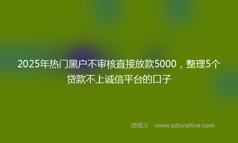 2025年热门黑户不审核直接放款5000,整理5个贷款不上诚信平台的口子