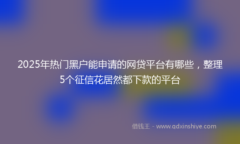 2025年热门黑户能申请的网贷平台有哪些，整理5个征信花居然都下款的平台