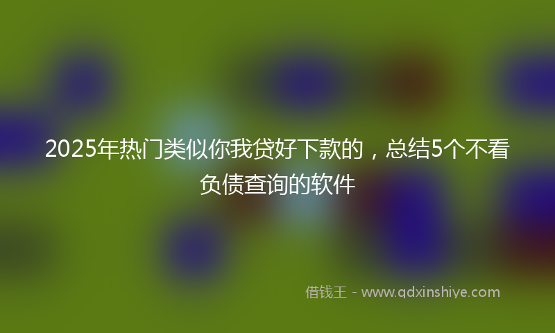 2025年热门类似你我贷好下款的，总结5个不看负债查询的软件