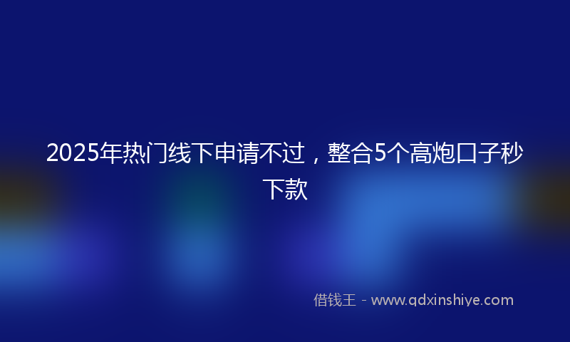 2025年热门线下申请不过，整合5个高炮口子秒下款