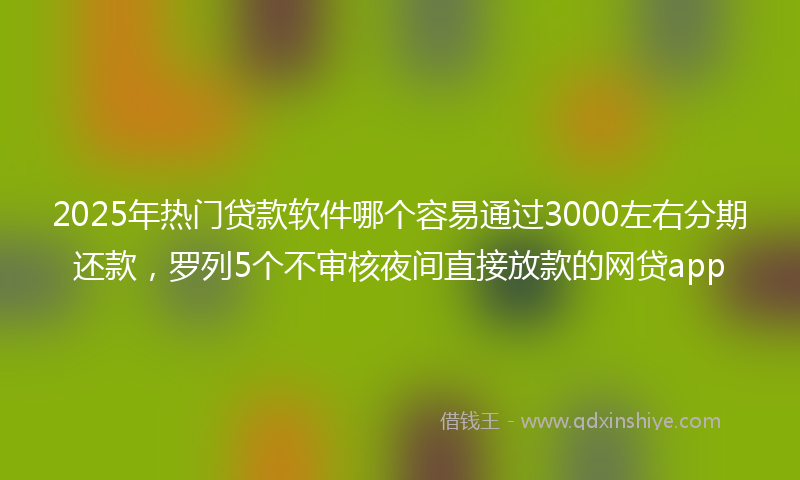 2025年热门贷款软件哪个容易通过3000左右分期还款，罗列5个不审核夜间直接放款的网贷app