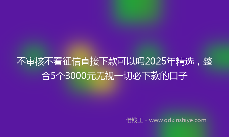不审核不看征信直接下款可以吗2025年精选，整合5个3000元无视一切必下款的口子