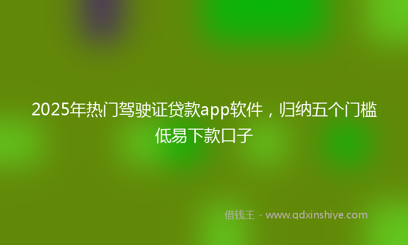 2025年热门驾驶证贷款app软件，归纳五个门槛低易下款口子