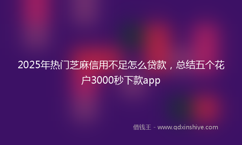 2025年热门芝麻信用不足怎么贷款,总结五个花户3000秒下款app