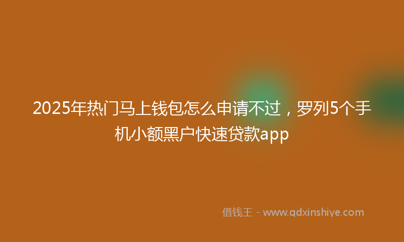 2025年热门马上钱包怎么申请不过，罗列5个手机小额黑户快速贷款app