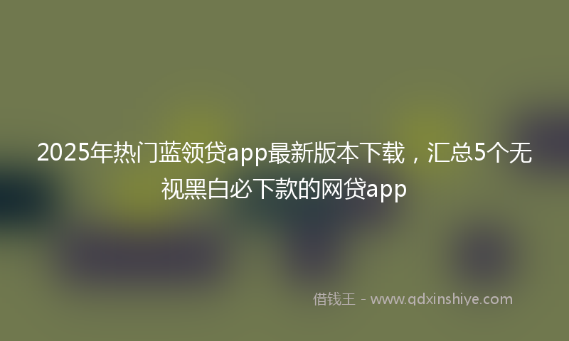 2025年热门蓝领贷app最新版本下载，汇总5个无视黑白必下款的网贷app