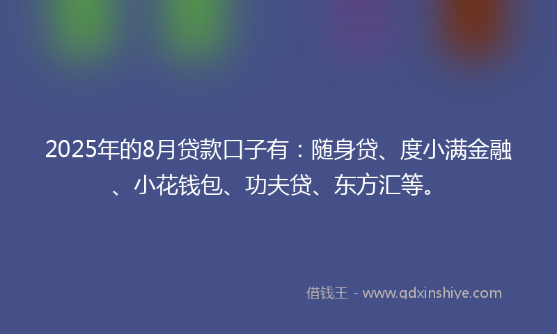 2025年的8月贷款口子有：随身贷、度小满金融、小花钱包、功夫贷、东方汇等。