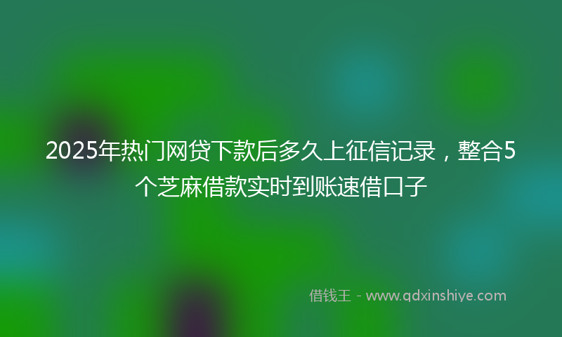 2025年热门网贷下款后多久上征信记录，整合5个芝麻借款实时到账速借口子