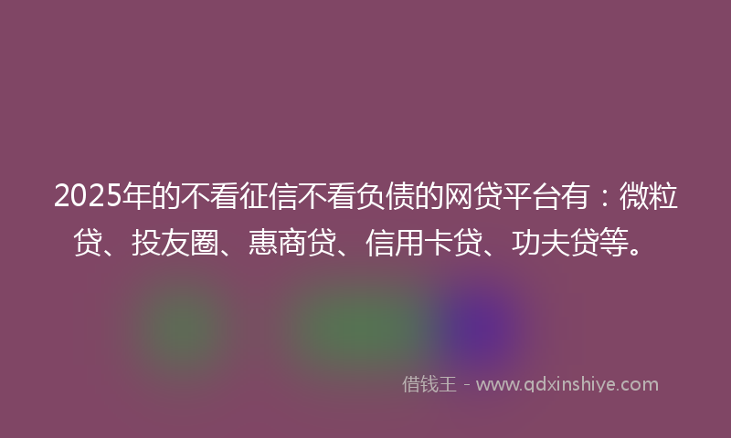 2025年的不看征信不看负债的网贷平台有：微粒贷、投友圈、惠商贷、信用卡贷、功夫贷等。