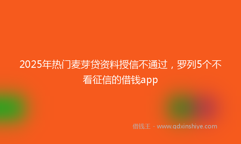 2025年热门麦芽贷资料授信不通过,罗列5个不看征信的借钱app