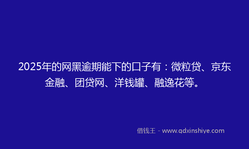 2025年的网黑逾期能下的口子有：微粒贷、京东金融、团贷网、洋钱罐、融逸花等。