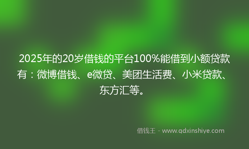 2025年的20岁借钱的平台100%能借到小额贷款有：微博借钱、e微贷、美团生活费、小米贷款、东方汇等。
