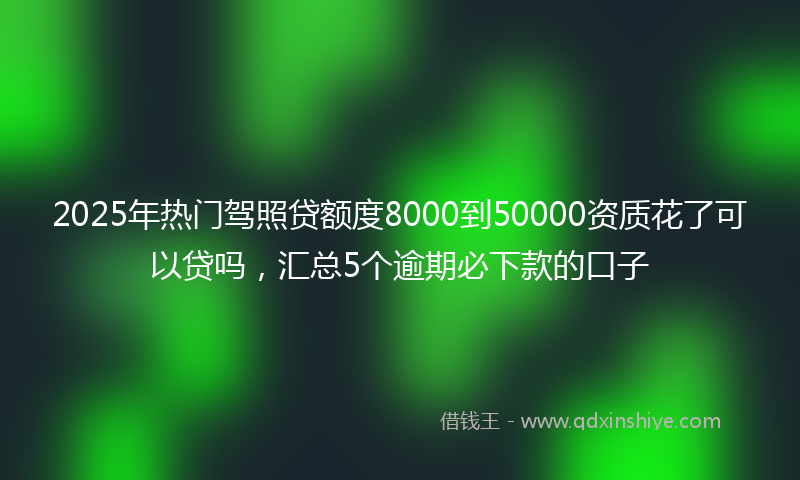 2025年热门驾照贷额度8000到50000资质花了可以贷吗，汇总5个逾期必下款的口子